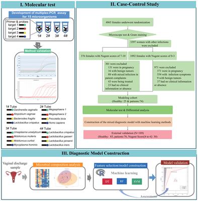 Vaginal microbiota molecular profiling and diagnostic performance of artificial intelligence-assisted multiplex PCR testing in women with bacterial vaginosis: a single-center experience